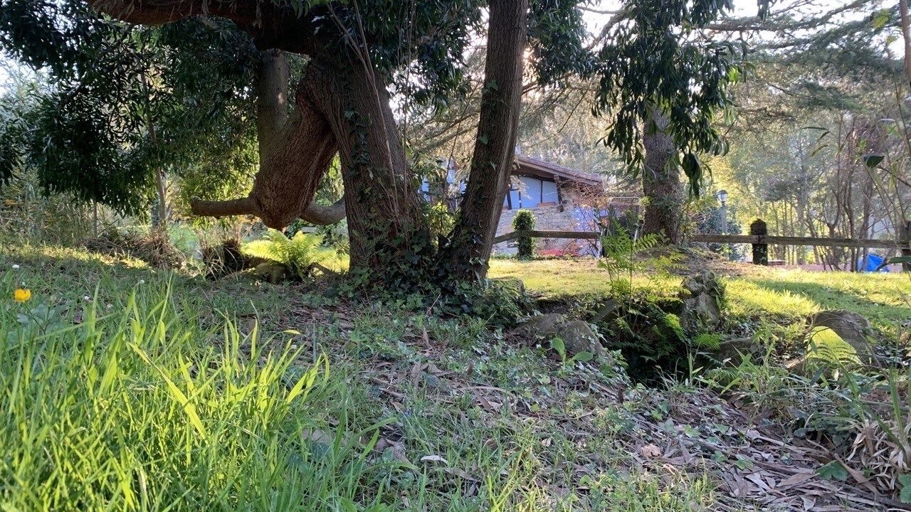 Photo of Outdoor in Bakio