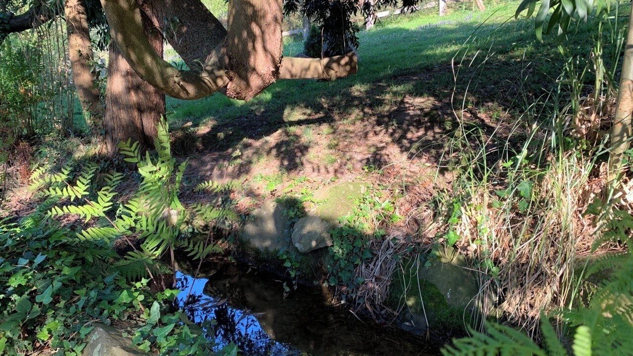Photo of Outdoor in Bakio