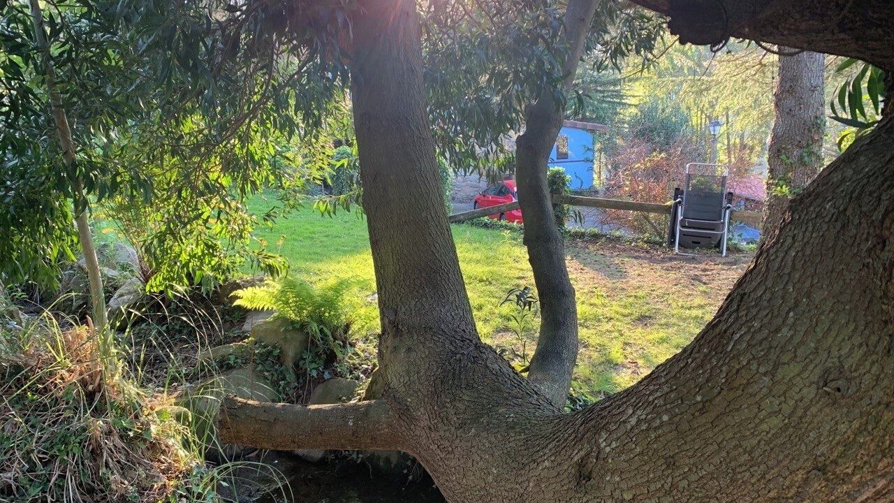 Photo of Outdoor in Bakio