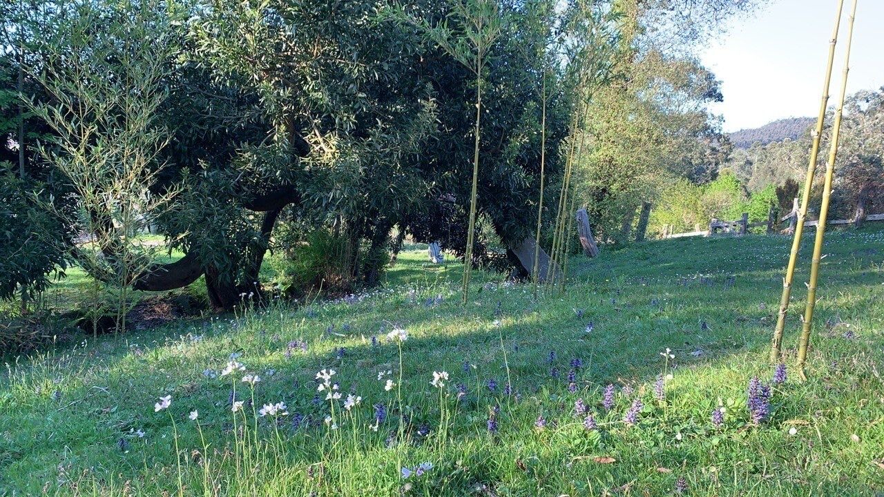 Photo of Outdoor in Bakio