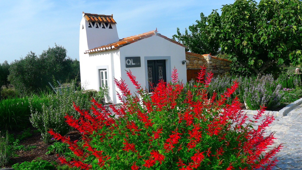 Photo of Others in Santa Maria da Devesa