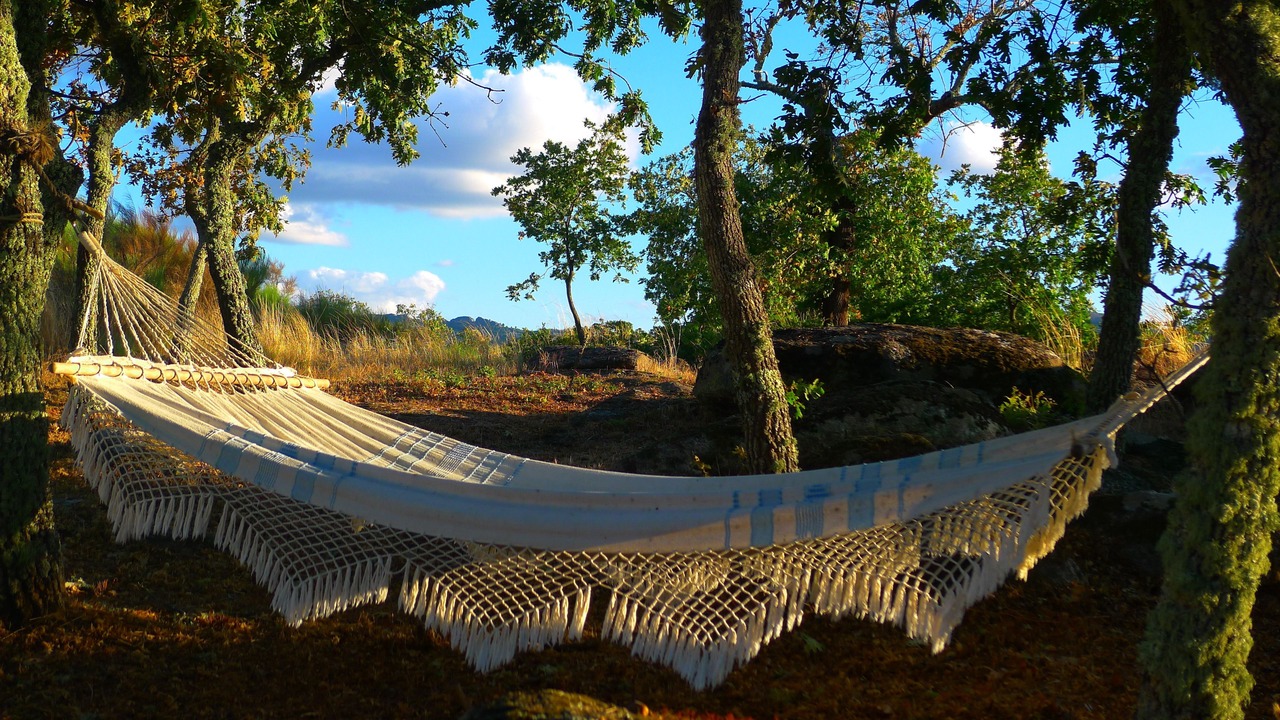 Photo of Outdoor in Santa Maria da Devesa