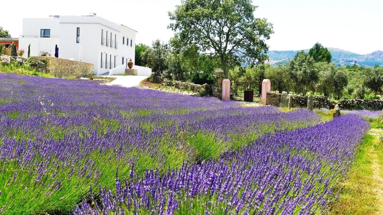 Photo of Outdoor in Santa Maria da Devesa