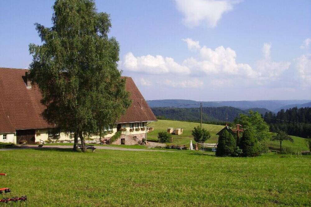 Photo of Outdoor in Wolfach - Saint Roman