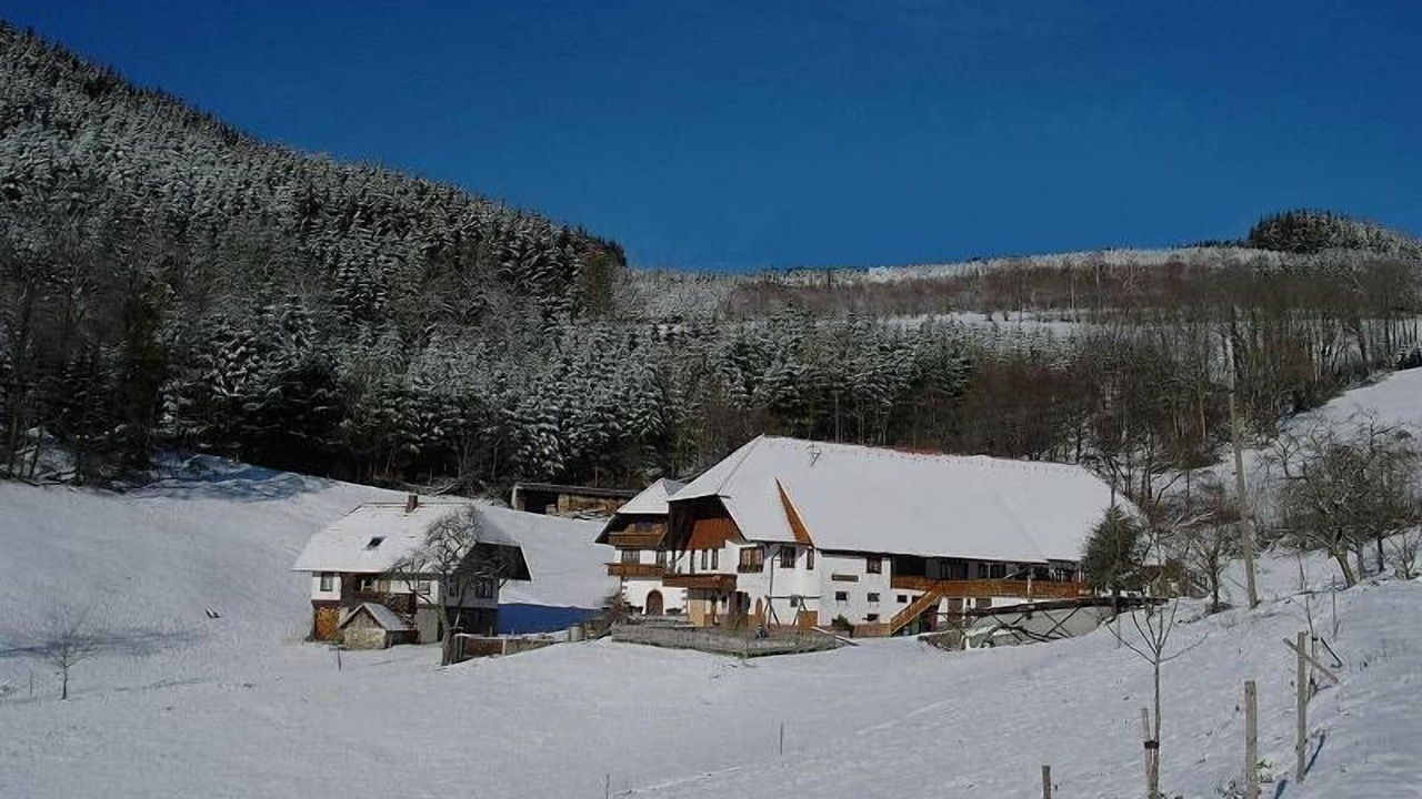 Photo of Outdoor in Hausach
