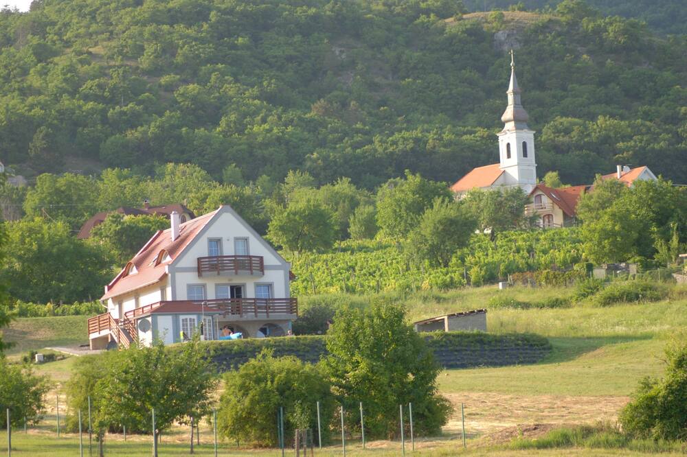 Photo of Outdoor in Balatongyorok