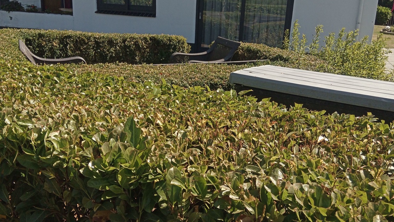 Photo of Outdoor in Renesse