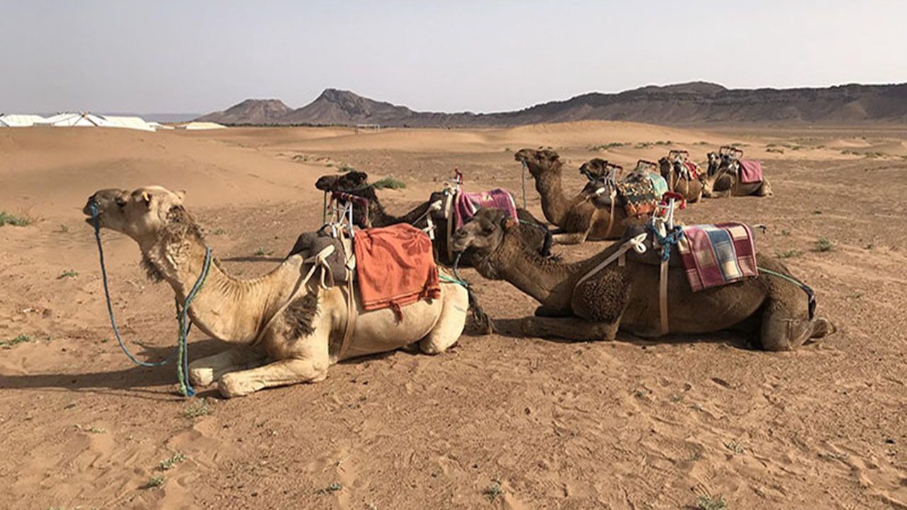 Photo of Outdoor in Zagora