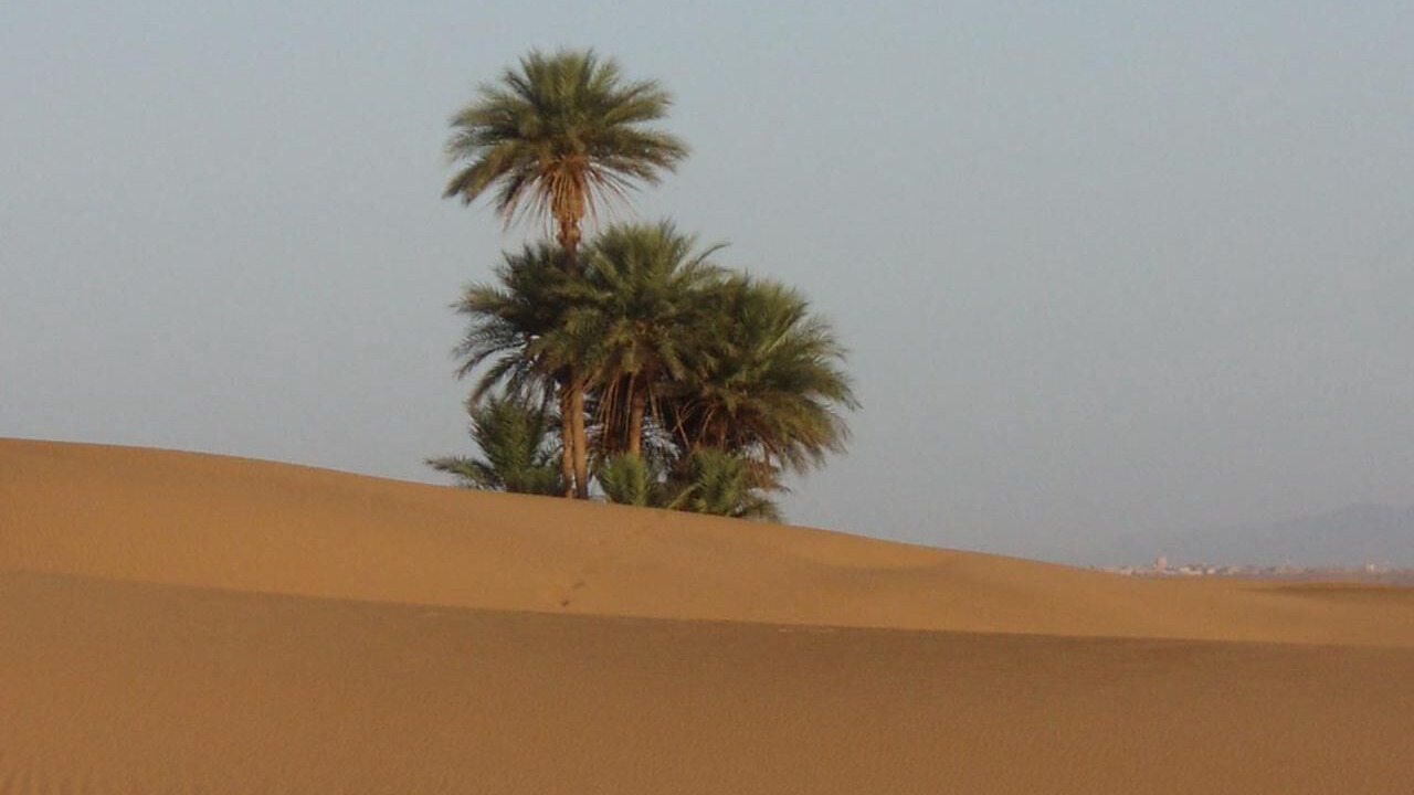Photo of Others in Zagora
