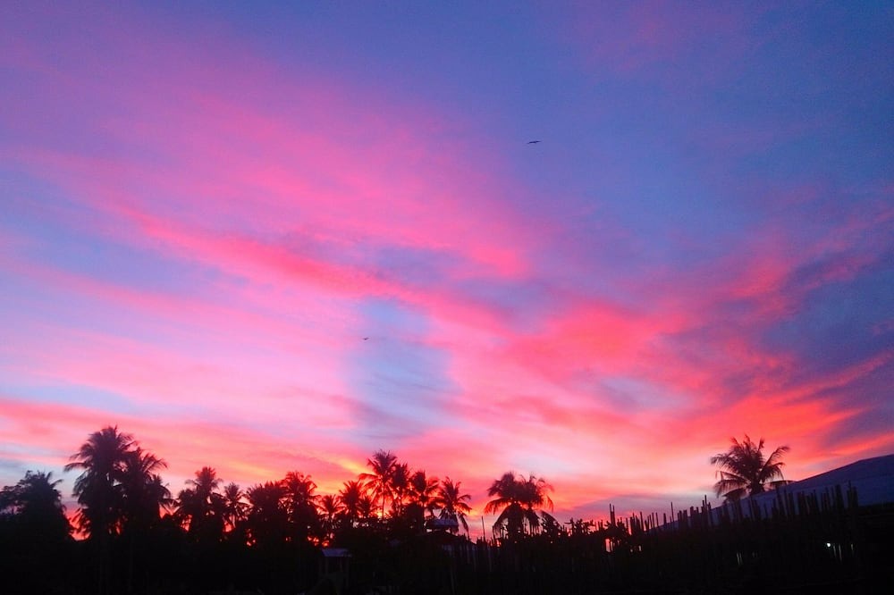 Photo of Others in El Nido