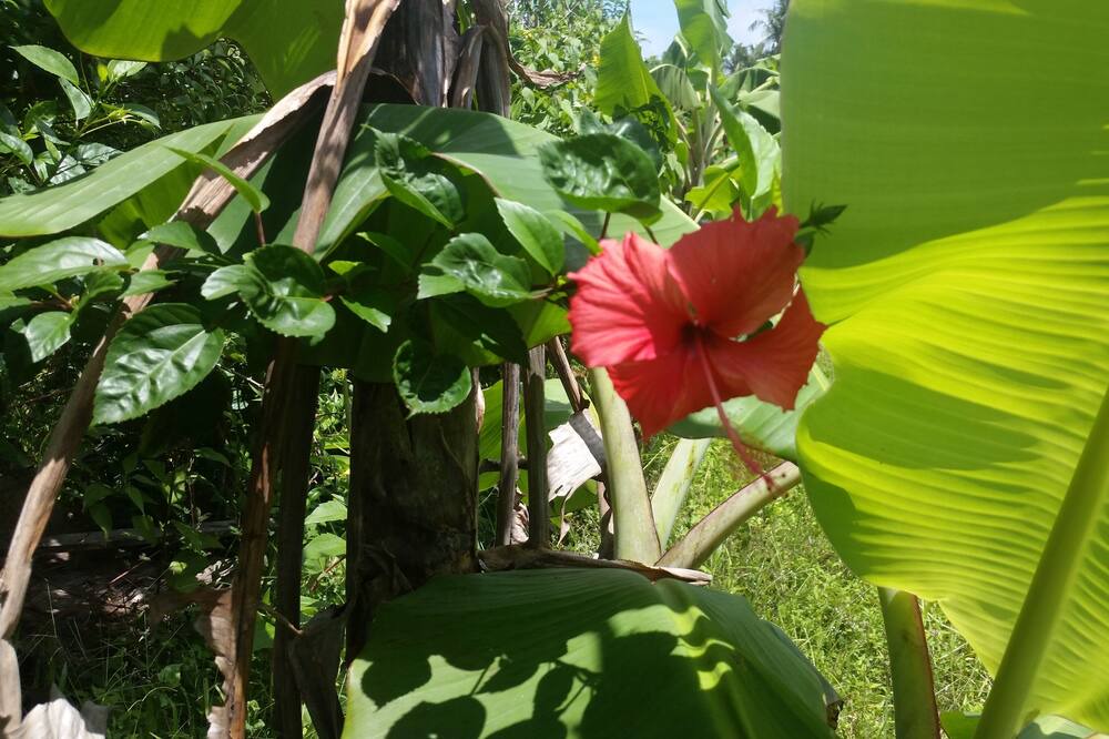 Photo of Outdoor in El Nido