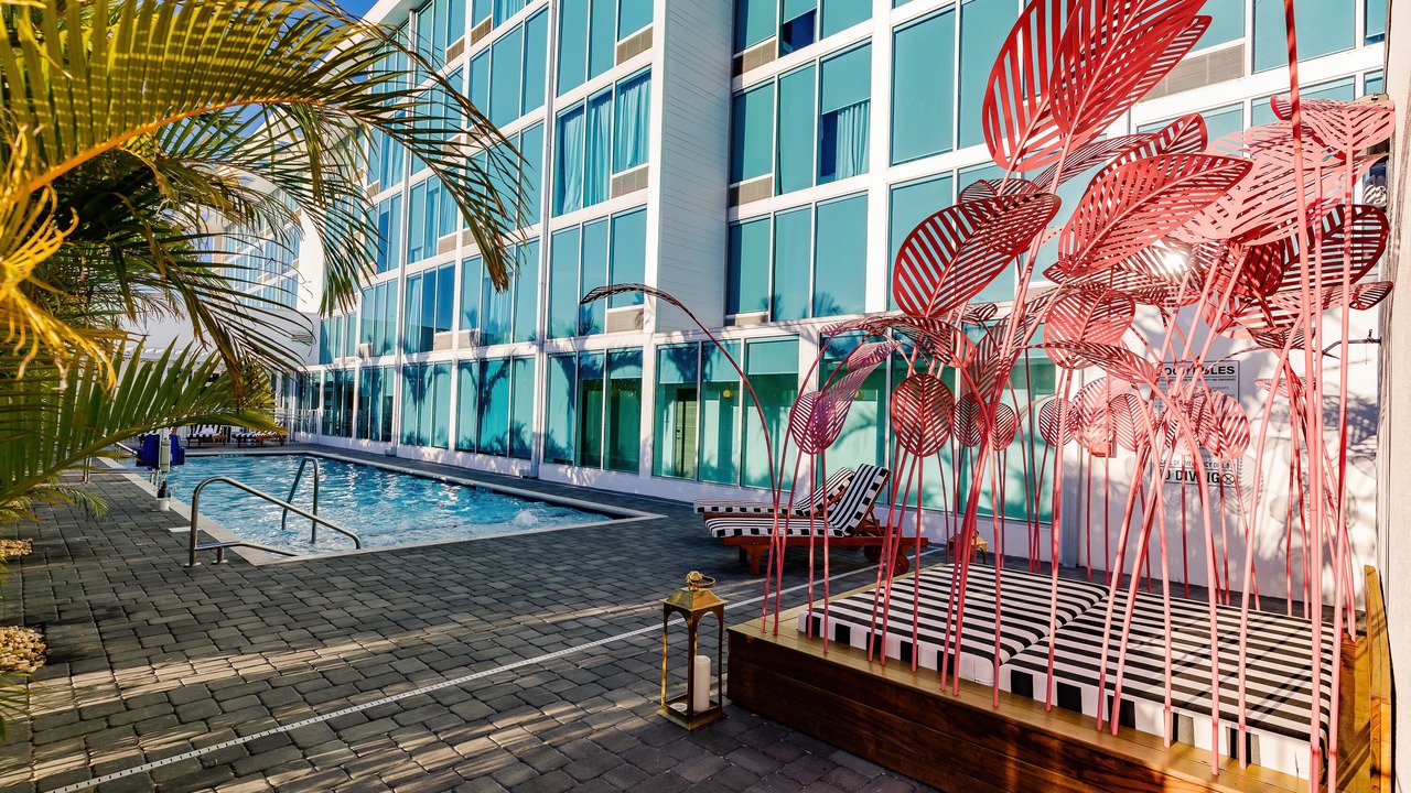 Photo of Outdoor in Sarasota