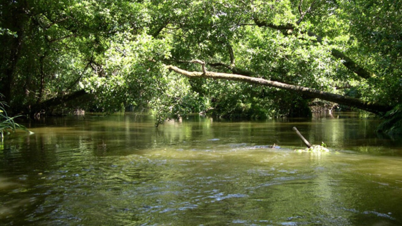 Photo of Outdoor in Moliets-et-Maa