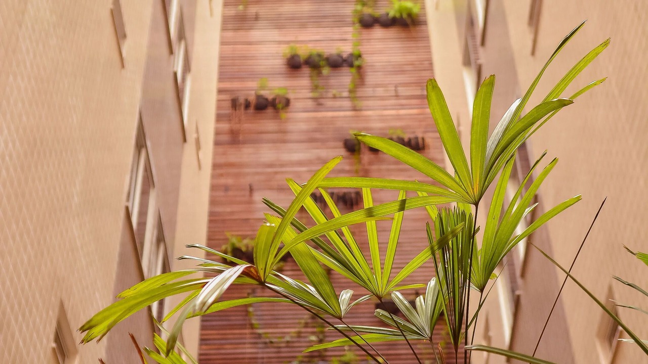 Photo of Outdoor in Macapa