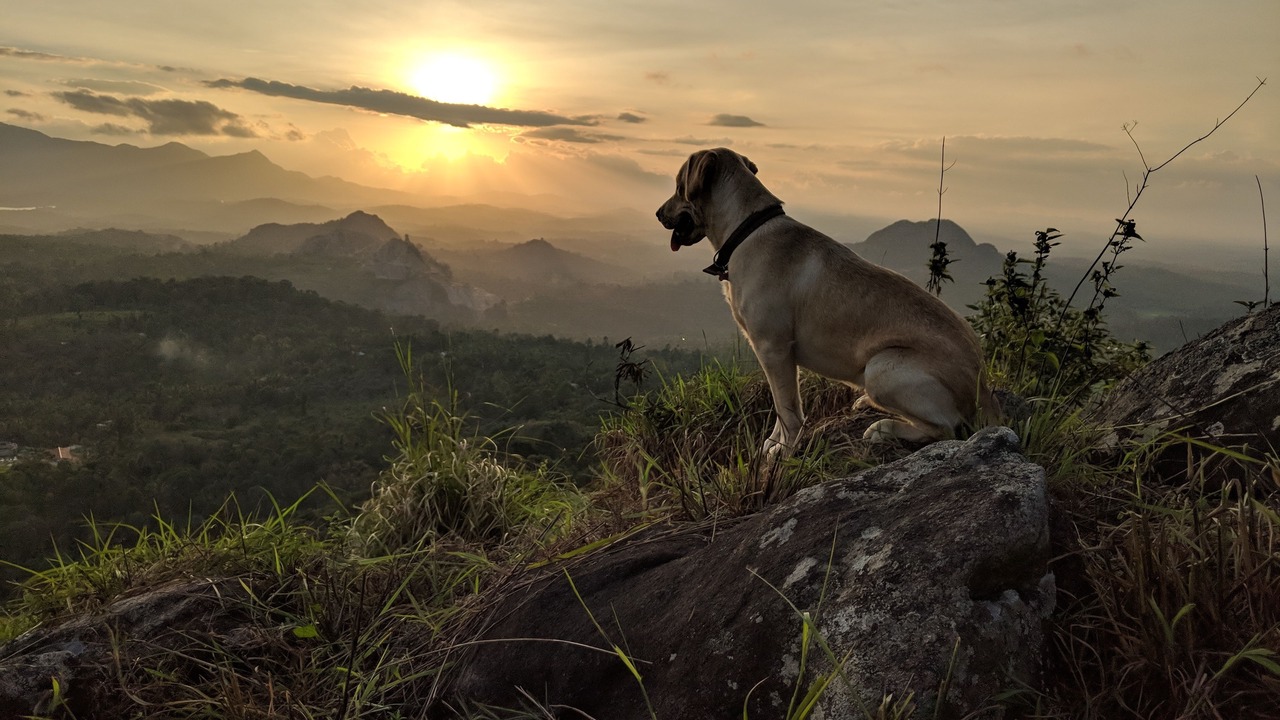 Photo of Outdoor in Kolagappara
