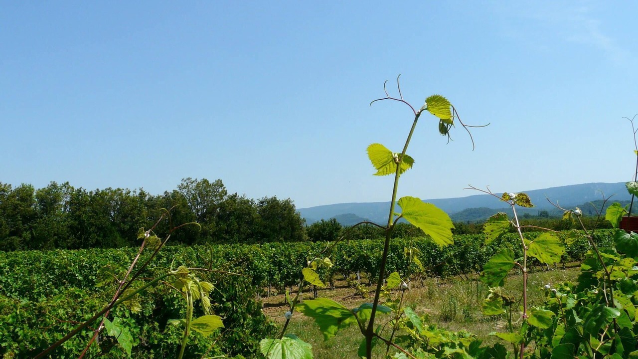 Photo of Outdoor in Caumont-sur-Durance