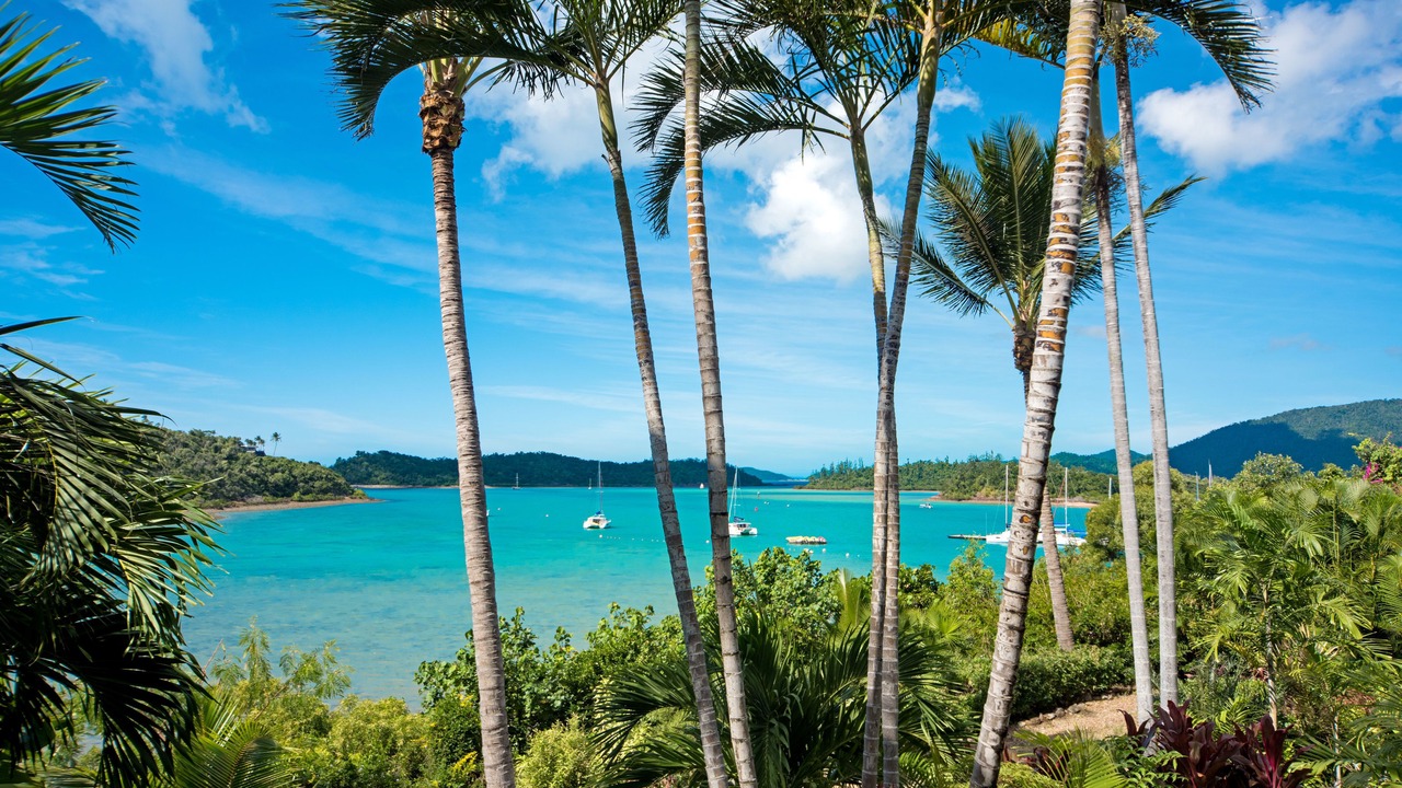 Photo of Others in Shute Harbour