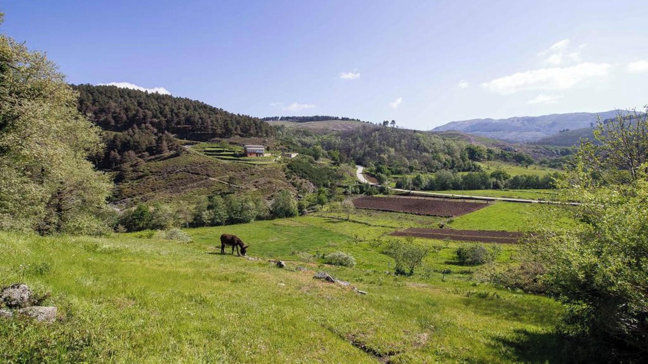 Photo of Outdoor in Mondim de Basto