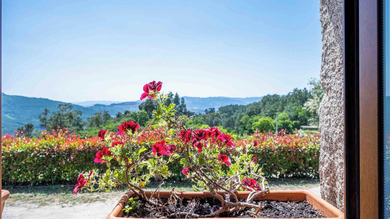 Photo of Outdoor in Mondim de Basto