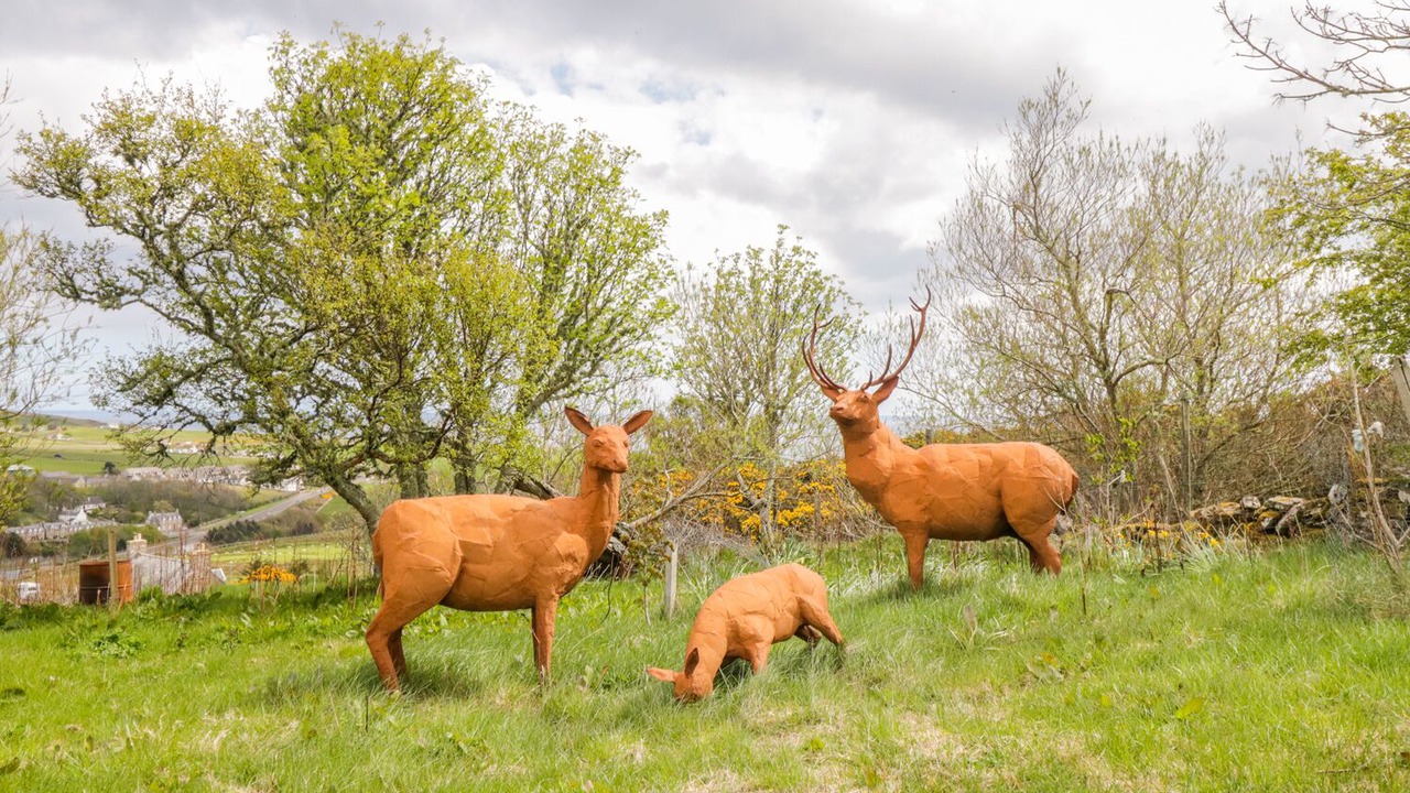 Photo of Outdoor in Dunbeath