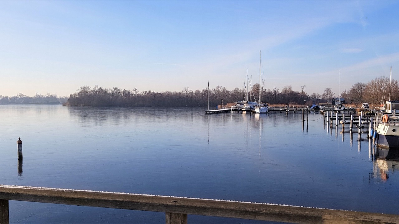 Photo of Others in Municipality of Aalsmeer