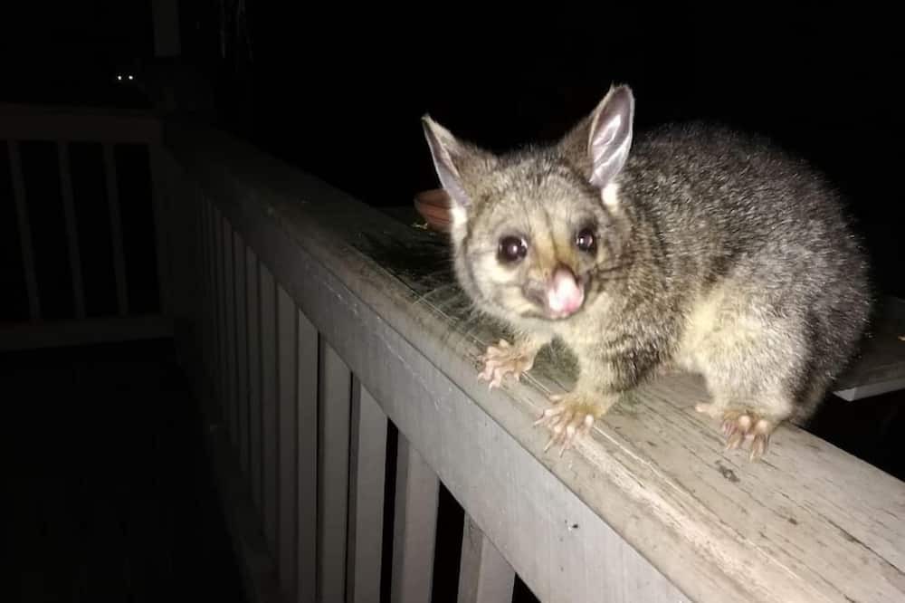 Photo of Others in Dawesville