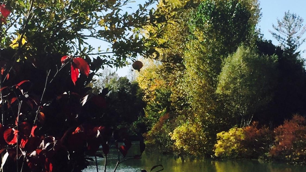 Photo of Outdoor in Dolo