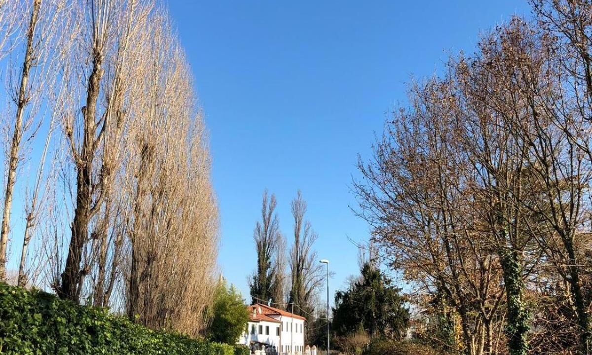 Photo of Outdoor in Dolo