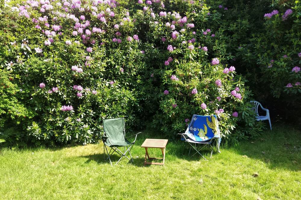 Photo of Outdoor in Nostie