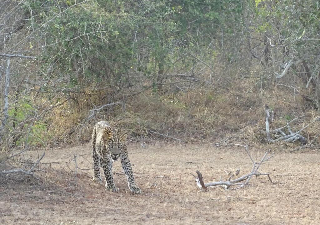 Photo of Outdoor in Tissamaharama