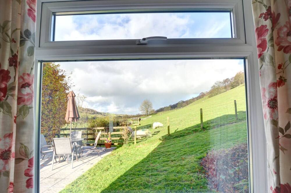 Photo of Others in Gwynedd- Snowdonia