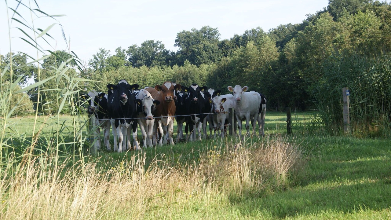 Photo of Outdoor in Municipality of Haaksbergen