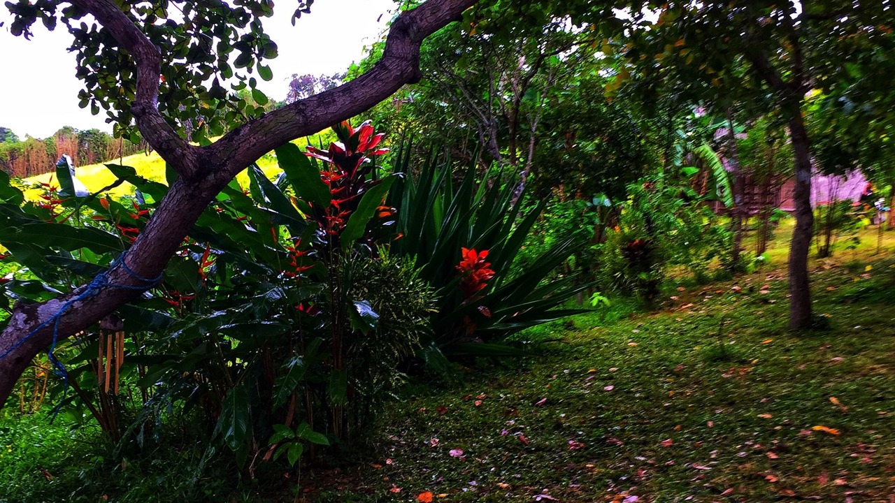 Photo of Outdoor in El Nido