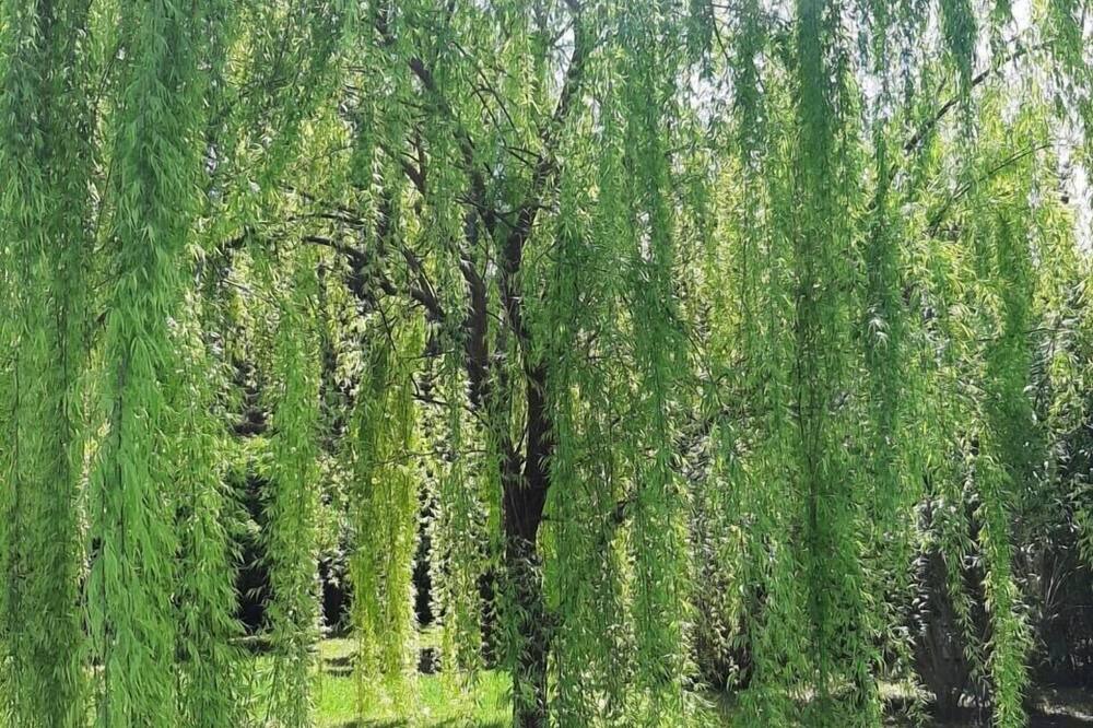 Photo of Outdoor in Amizmiz