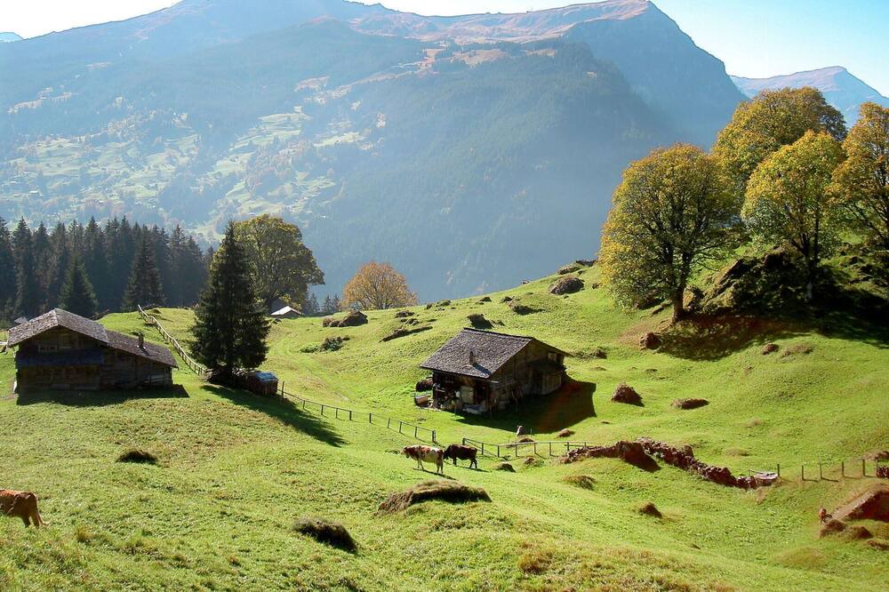 Photo of Others in Grindelwald