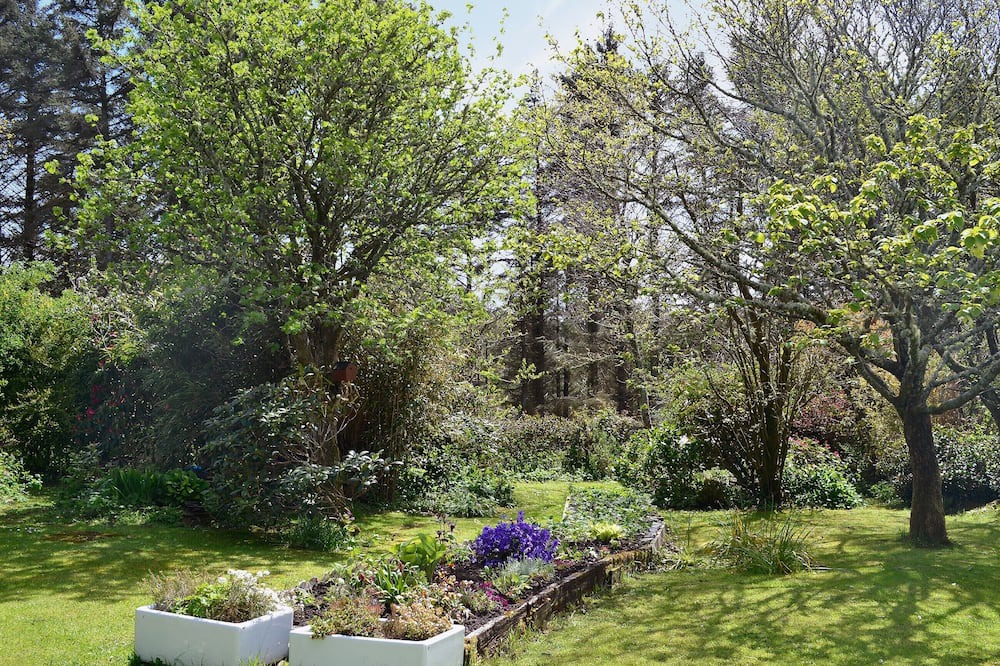 Photo of Outdoor in Clachan