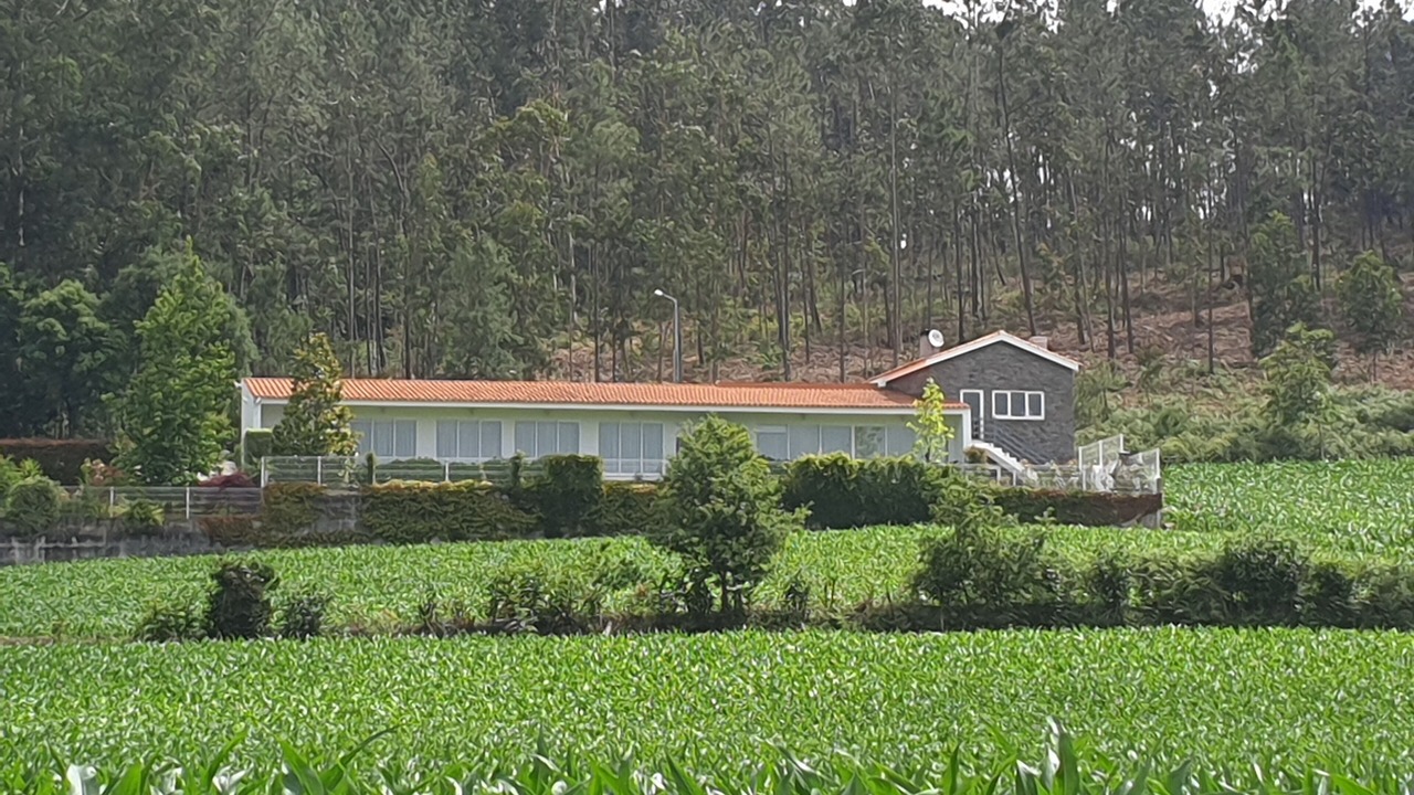 Photo of Outdoor in Paradela