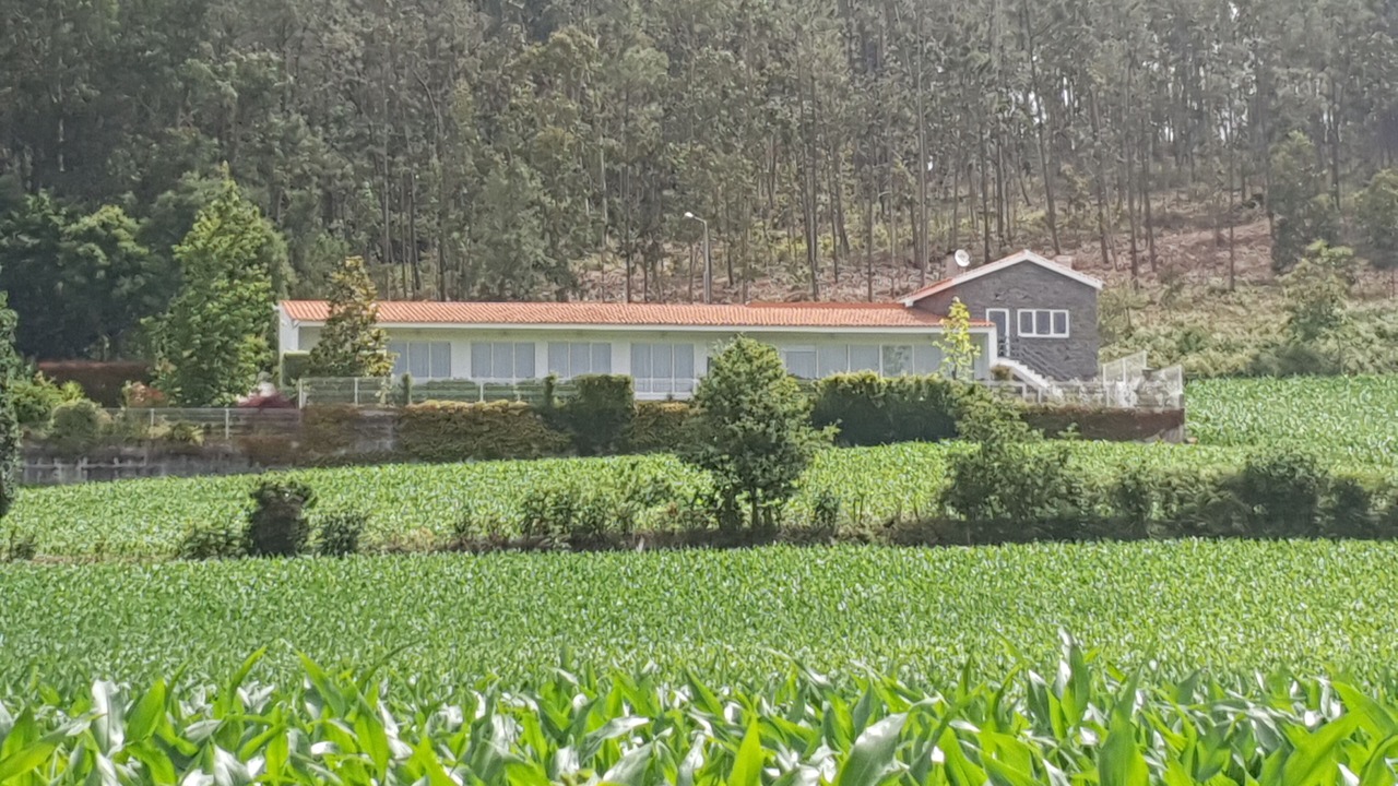Photo of Outdoor in Paradela