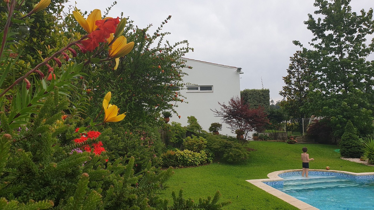 Photo of Outdoor in Paradela