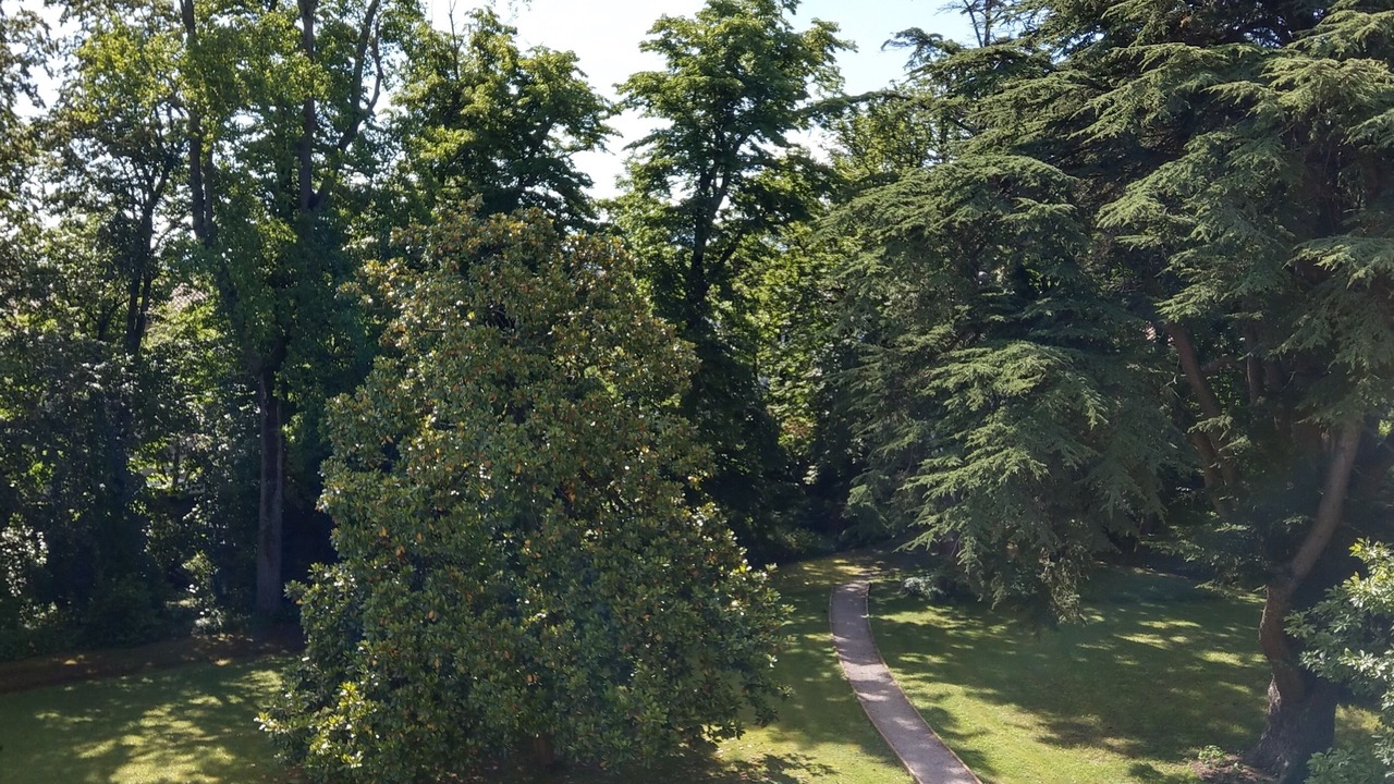 Photo of Outdoor in Labruguiere