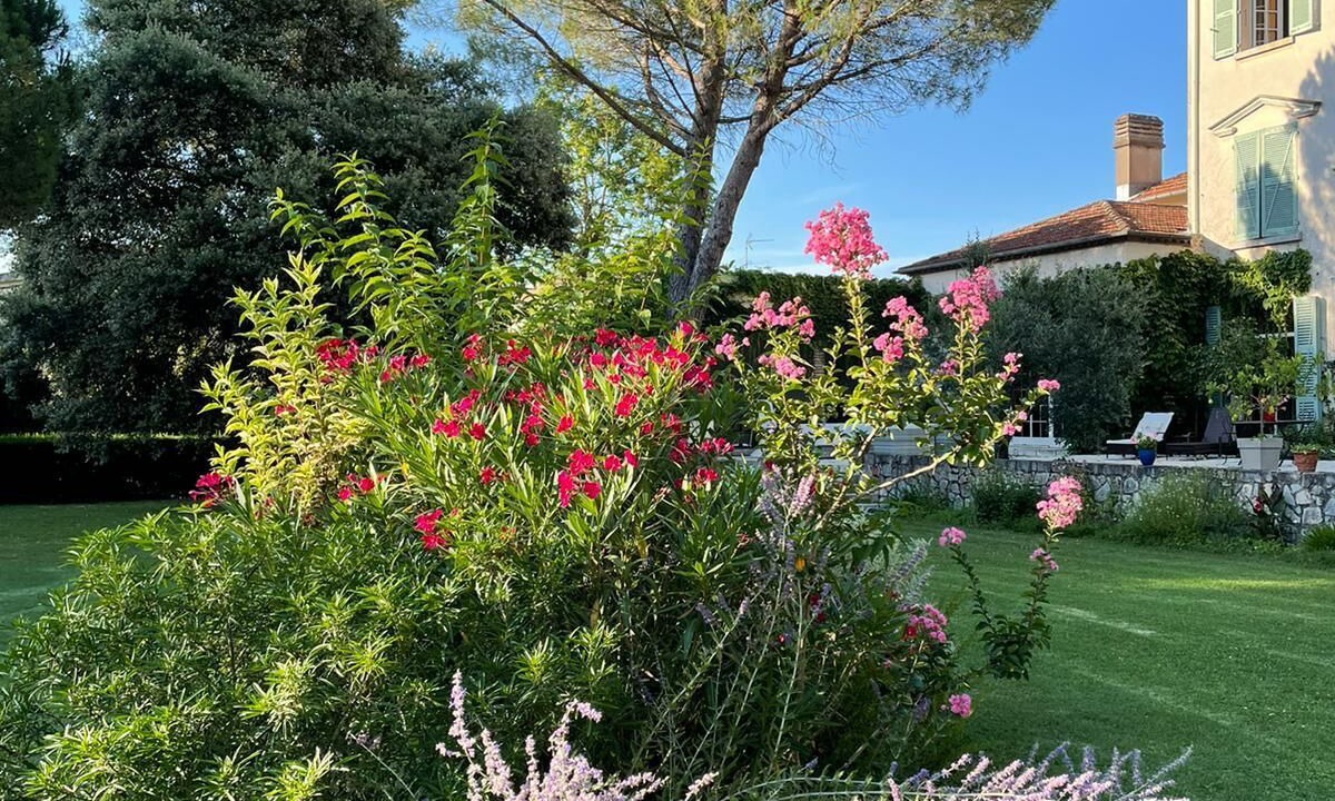 Photo of Outdoor in Labruguiere
