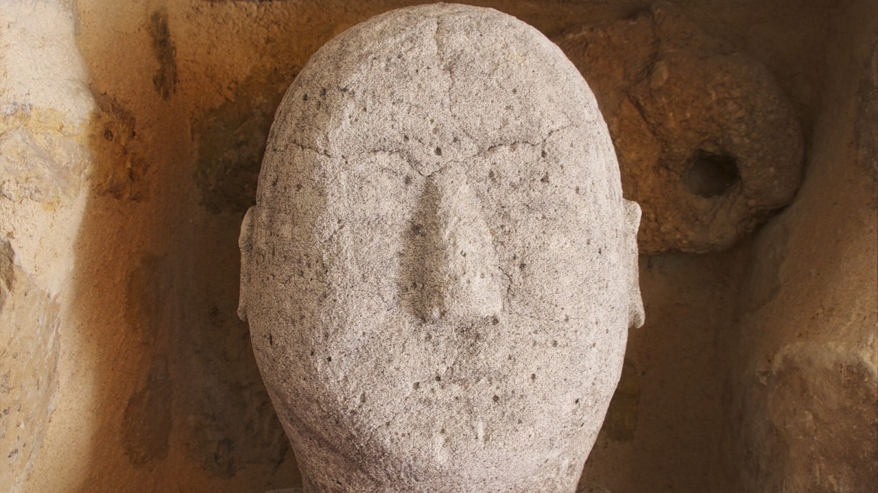 Photo of Others in Gaillac-d'Aveyron