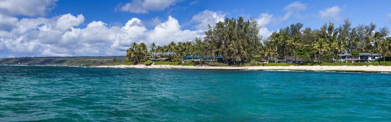 Photo of Others in Haleiwa
