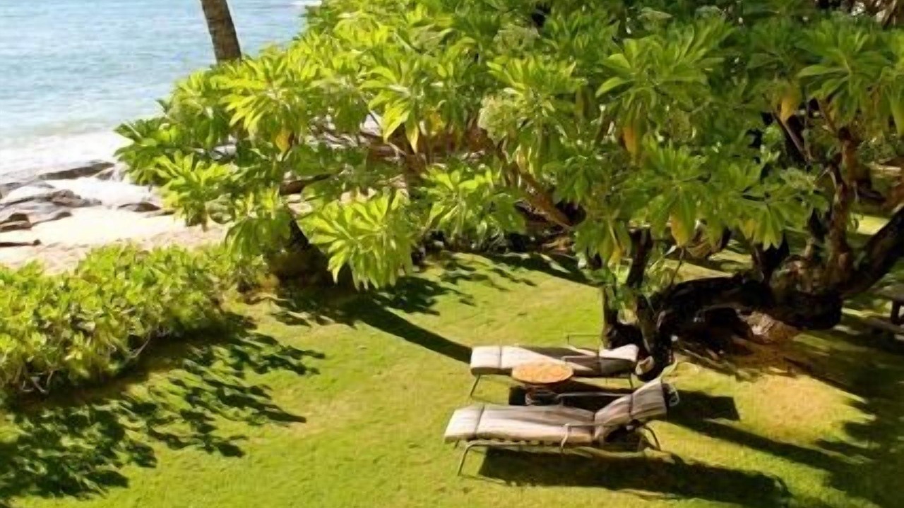 Photo of Outdoor in Haleiwa