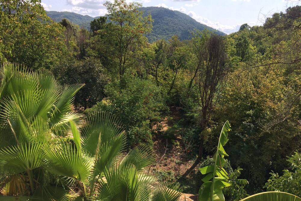 Photo of Outdoor in Bargemon