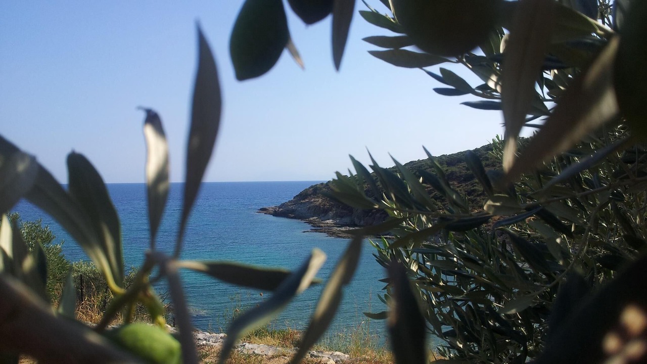 Photo of Outdoor in Nea Peramos