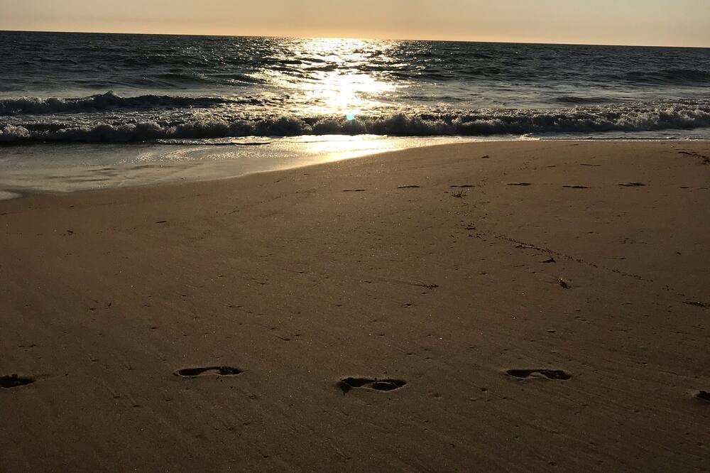 Photo of Others in Preston Beach