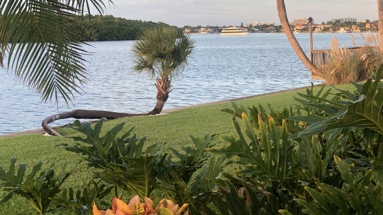 Photo of Outdoor in Sarasota