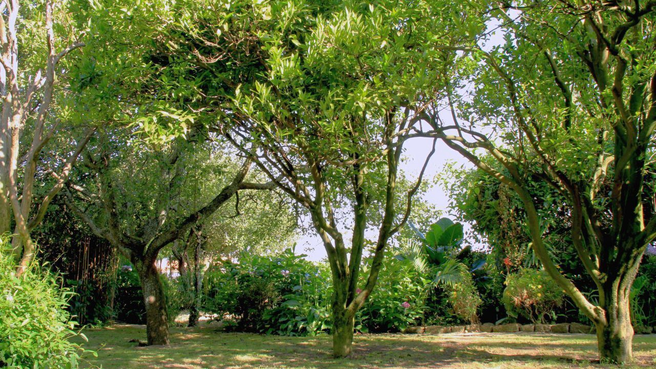 Photo of Outdoor in Cacia