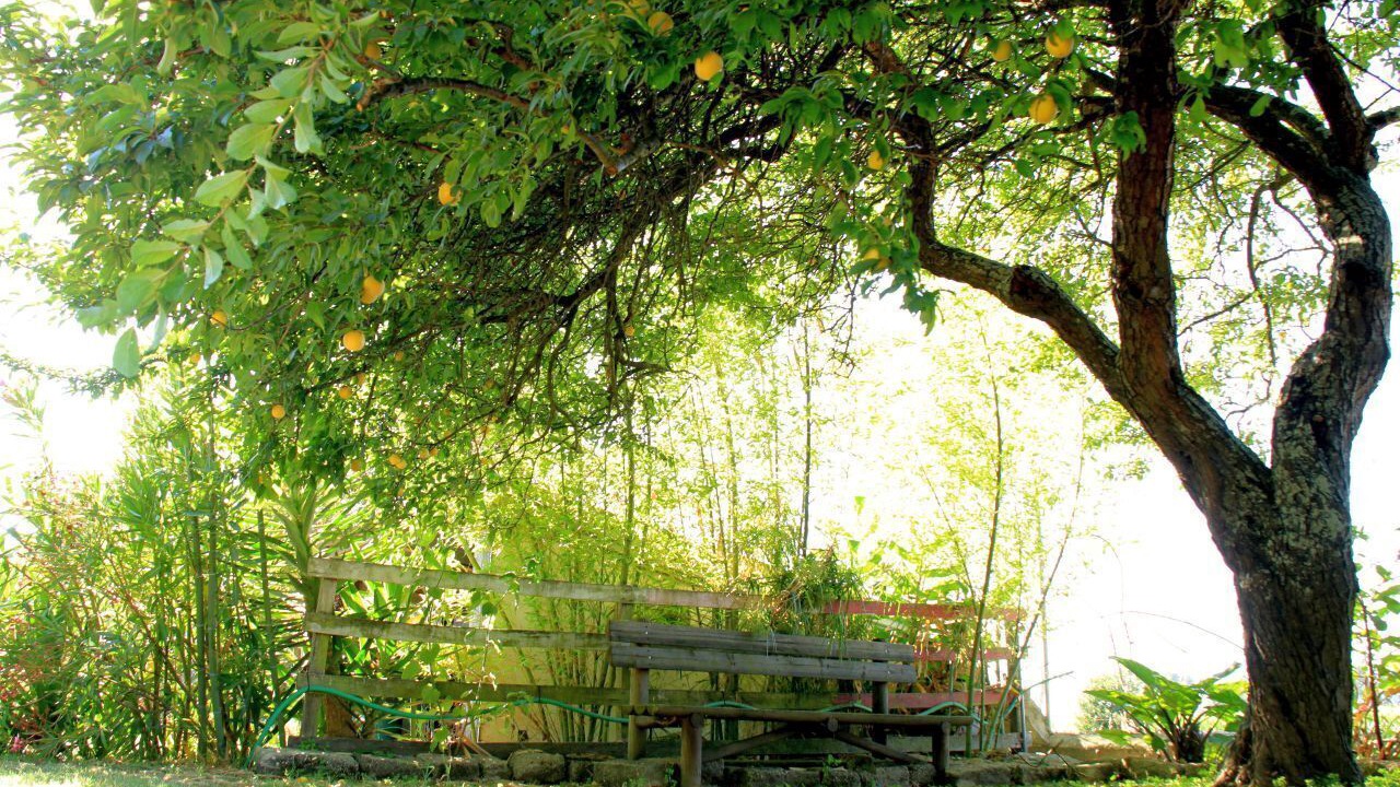Photo of Outdoor in Cacia